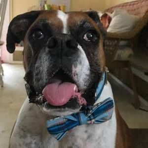 Meet your Posher, Kathy